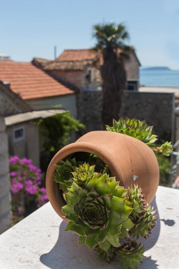Amaizing Apartment Near Airport Kaštel Štafilić エクステリア 写真